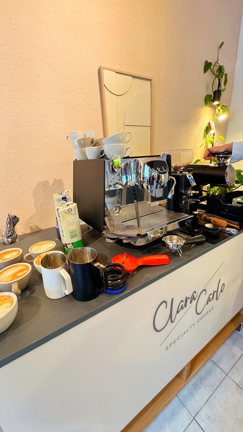CLARA & CARLO Specialty Coffee & Catering Mannheim